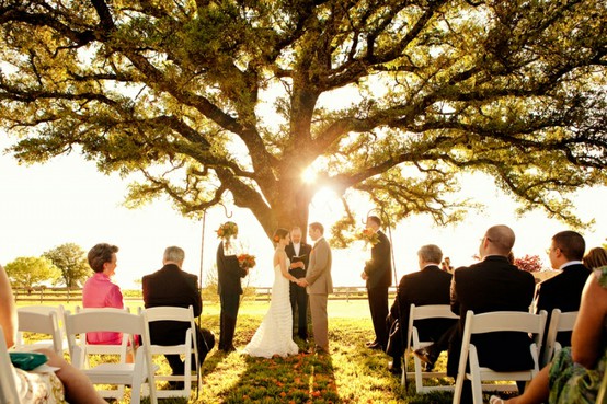 wedding under tree 1